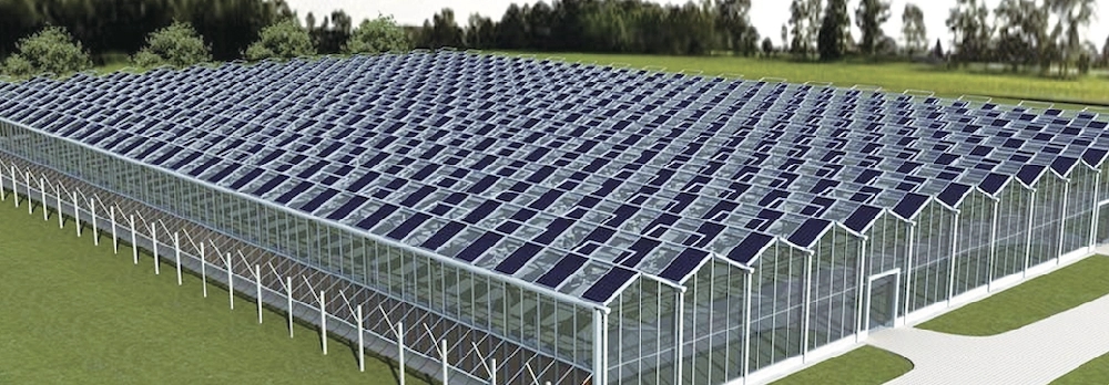 1743836625130706.jpg 蔬菜大棚供暖